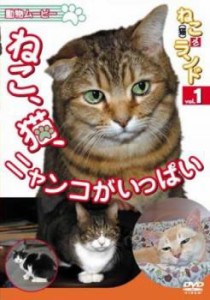 動物ムービー ねこ 猫 ざ ランド 1 ねこ、猫、ニャンコがいっぱい 中古DVD レンタル落ち