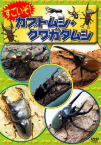 cs::ケース無:: すごいぞ!カブトムシ クワガタムシ 中古DVD レンタル落ち