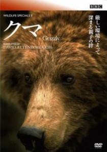 BBC ワイルドライフ スペシャル2 クマ【字幕】 中古DVD レンタル落ち