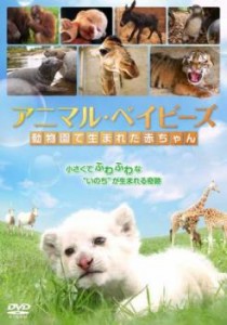 アニマル・ベイビーズ 動物園で生まれた赤ちゃん 中古DVD