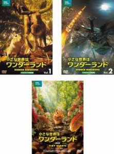 tsP::ケース無:: 小さな世界はワンダーランド 全3枚 TVオリジナル完全版 全2巻 + 劇場版 中古DVD 全巻セット レンタル落ち