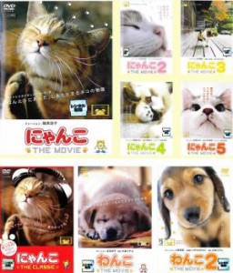 にゃんこ THE MOVIE 全5巻 +THE CLASSIC + わんこ THE MOVIE 全2巻 全8枚  中古DVD セット OSUS レンタル落ち