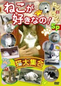 「売り尽くし」ケース無:: ねこ 猫 ざ ランドSP ねこが好きなの! 猫大集合 中古DVD レンタル落ち