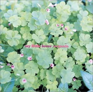 ケース無:: My Little Lover organic アコースティック セルフカバー アルバム  中古CD レンタル落ち