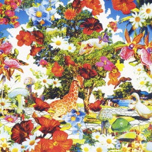 orange pekoe Wild Flowers 通常盤  中古CD レンタル落ち