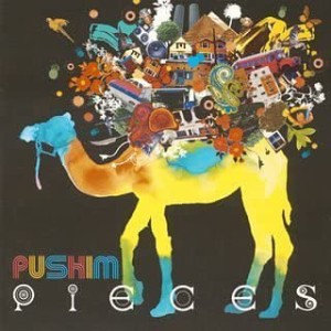 PUSHIM PIECES 期間限定特別価格盤  中古CD レンタル落ち