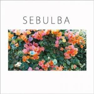 ケース無:: 踊ってばかりの国 SEBULBA  中古CD レンタル落ち