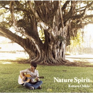 ケース無:: 押尾コータロー Nature Spirit 通常盤  中古CD レンタル落ち