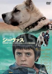 シーヴァス 王子さまになりたかった少年と負け犬だった闘犬の物語【字幕】 中古DVD レンタル落ち