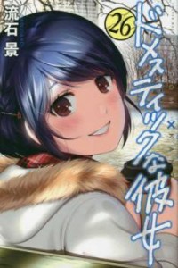 ドメスティックな彼女 26 レンタル用 中古 コミック Comic レンタル落ち