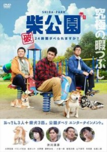 tsP::柴公園 破 24時間ダベられますか? 中古DVD レンタル落ち