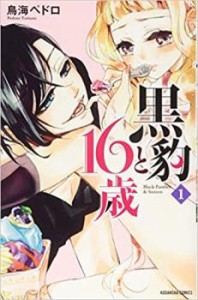 黒豹と16歳 全 11 巻 完結 セット 中古 コミック Comic 全巻セット レンタル落ち