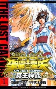 聖闘士星矢 THE LOST CANVAS 冥王神話 全 25 巻 完結 セット レンタル用 中古 コミック Comic 全巻セット レンタル落ち