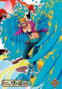 ONE PIECE ワンピース 20thシーズン ワノ国編 R-24(第987話〜第990話) 中古DVD レンタル落ち