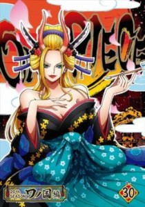 ONE PIECE ワンピース 20thシーズン ワノ国編 30(1010話〜1013話) 中古DVD レンタル落ち