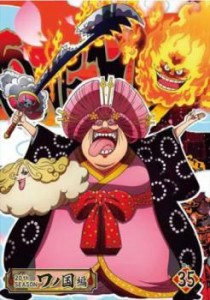 【ご奉仕価格】ONE PIECE ワンピース 20thシーズン ワノ国編 R-35 中古DVD レンタル落ち