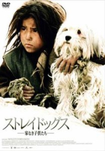 cs::ストレイドッグス 家なき子供たち【字幕】 中古DVD レンタル落ち