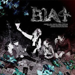 【ご奉仕価格】ケース無:: B1A4 IN THE WIND CD+DVD  中古CD レンタル落ち