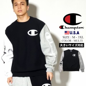 champion colorblock crew