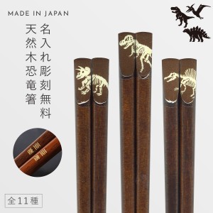 箸 お箸 恐竜 18cm 名入れ 名前入り プレゼント 子供 子ども 男の子 キッズ 恐竜 雑貨 グッズ Fossil メール便対応