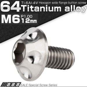 チタンボルト M6×12mm P1.00 ボタンボルト 頭部径14mm 六角穴 グレー 素地色 ホール JA1126