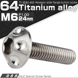 チタンボルト M6×24mm P1.00 ボタンボルト 頭部径14mm 六角穴 グレー 素地色 ホール JA1129