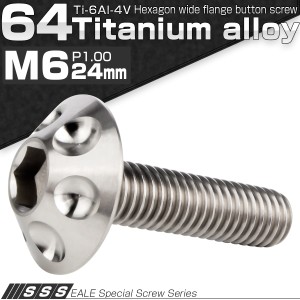 チタンボルト M6×24mm P1.00 ボタンボルト 頭部径16mm 六角穴 グレー 素地色 ホール JA1130