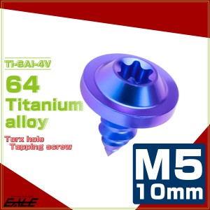 タッピングネジ M5×10mm チタン トルクス穴 フランジ付き ビス ブルー JA1241