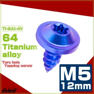 タッピングネジ M5×12mm チタン トルクス穴 フランジ付き ビス ブルー JA1248