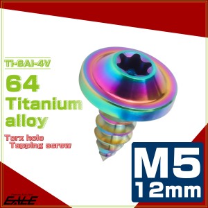 タッピングネジ M5×12mm チタン トルクス穴 フランジ付き ビス ライトカラー レインボー JA1250