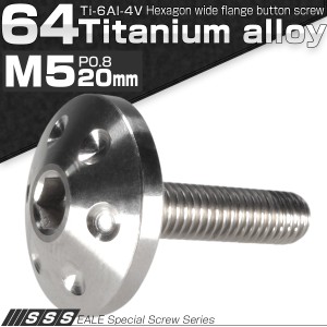 チタンボルト M5×20mm P0.80 頭部径18mm ボタンボルト 六角穴 グレー 素地色 ホール JA182