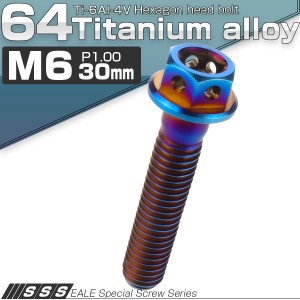 チタンボルト M6×30mm P1.0 六角ボルト 六角穴付き フランジ付き 焼きチタン風 デザイン JA732