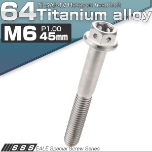 チタンボルト M6×45mm P1.0 六角ボルト 六角穴付き フランジ付き シルバー デザイン JA737