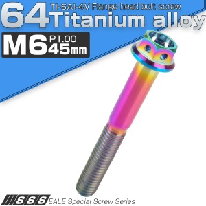 チタンボルト M6×45 P1.00 六角ボルト フランジ付 焼きチタンカラー レインボー ホール JA797