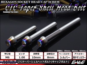 M6×10mm ステンレス テーパー シェル キャップボルト クランクケース等エンジン周りに シルバー/焼チタンカラー TB0847