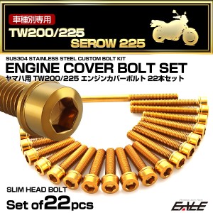 エンジンカバー ボルトセット TW200 TW225 セロー 225 SEROW 22本セット スリムヘッド ゴールド TB7162