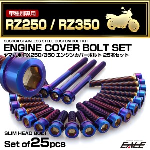 エンジンカバー ボルトセット RZ250 RZ350 25本セット スリムヘッド ヤマハ用 焼きチタン色 TB7188