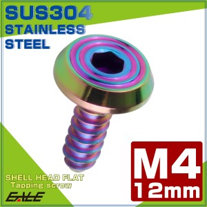 タッピングネジ M4×12mm SUS304 ステンレス シェルヘッドフラット 六角穴 フランジ付き ネジ レインボーグリーン TC0201