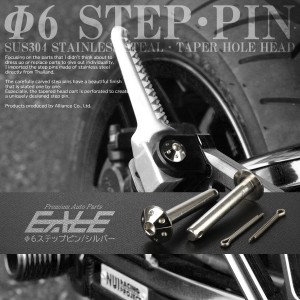 ステップピン リア用 クレビスピン ホンダ車汎用 外径6mm テーパーホールヘッド SUSステンレス シルバー 割りピン付 2本セット TH0470