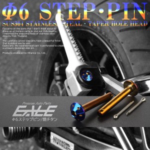 ステップピン リア用 クレビスピン ホンダ車汎用 外径6mm テーパーホールヘッド SUSステンレス 焼チタンカラー 割りピン付 2本セット TH0