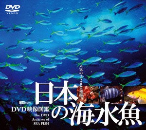 ／日本の海水魚　ＤＶＤ映像図鑑