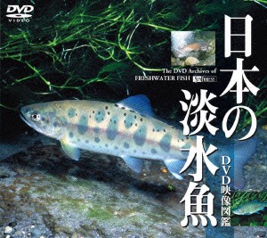 ／日本の淡水魚　ＤＶＤ映像図鑑