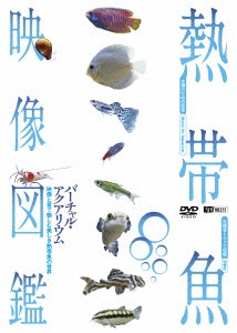 ／シンフォレストＤＶＤ　熱帯魚映像図鑑　バーチャル・アクアリウム　映像と音で愉しむ美しき熱帯魚の世界