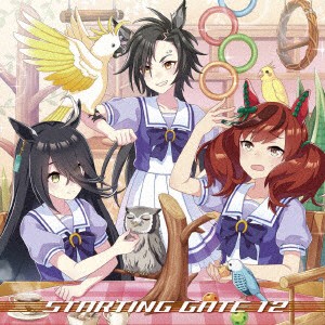 ゲーム『ウマ娘　プリティーダービー』ＳＴＡＲＴＩＮＧ　ＧＡＴＥ　１２