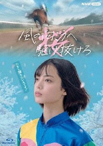 風の向こうへ駆け抜けろ（Ｂｌｕ−ｒａｙ　Ｄｉｓｃ）