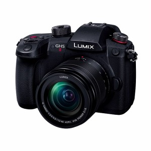 パナソニック Panasonic LUMIX DC-GH5M2M 標準ズームレンズキット