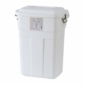 トラッシュカン ゴミ箱 ごみ箱 ダストボックス 30L ホワイト W39×D27×H48.6 az-lfs-934wh  ゴミ箱 送料無料 北欧 モダン 家具 インテリ