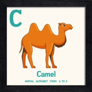 アニマルアルファベット Animal Alphabet Camel 200x200x53mm ZAA-53210 bic-10772192s1  アートパネル アートボード 壁紙 装飾フィルム 