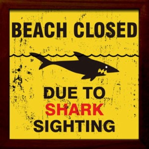 サインフレーム SIGN FRAME Shark Sighting 220x220x20mm ZSF-52033 bic-7088737s1  アートパネル アートボード 壁紙 装飾フィルム 送料