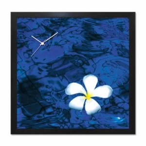 アート+時計 A-CLOCK Frangipani ブラック AC-1002 保証付 kar-5620672s2  掛け時計 置き時計 掛け時計 送料無料 北欧 モダン 家具 イン